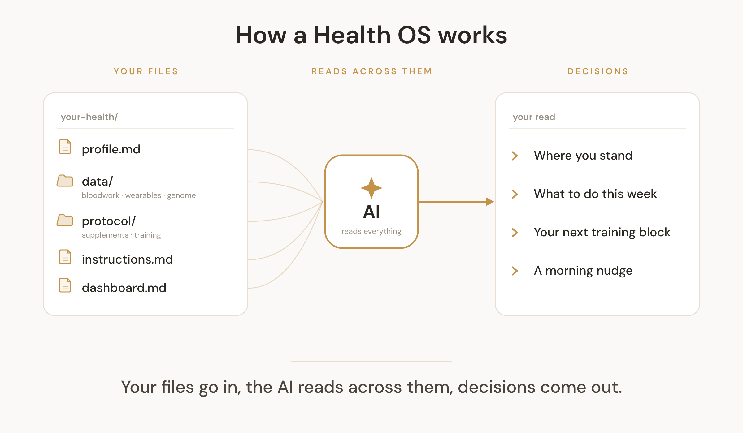 Your health files go in, the AI reads across all of them, decisions come out