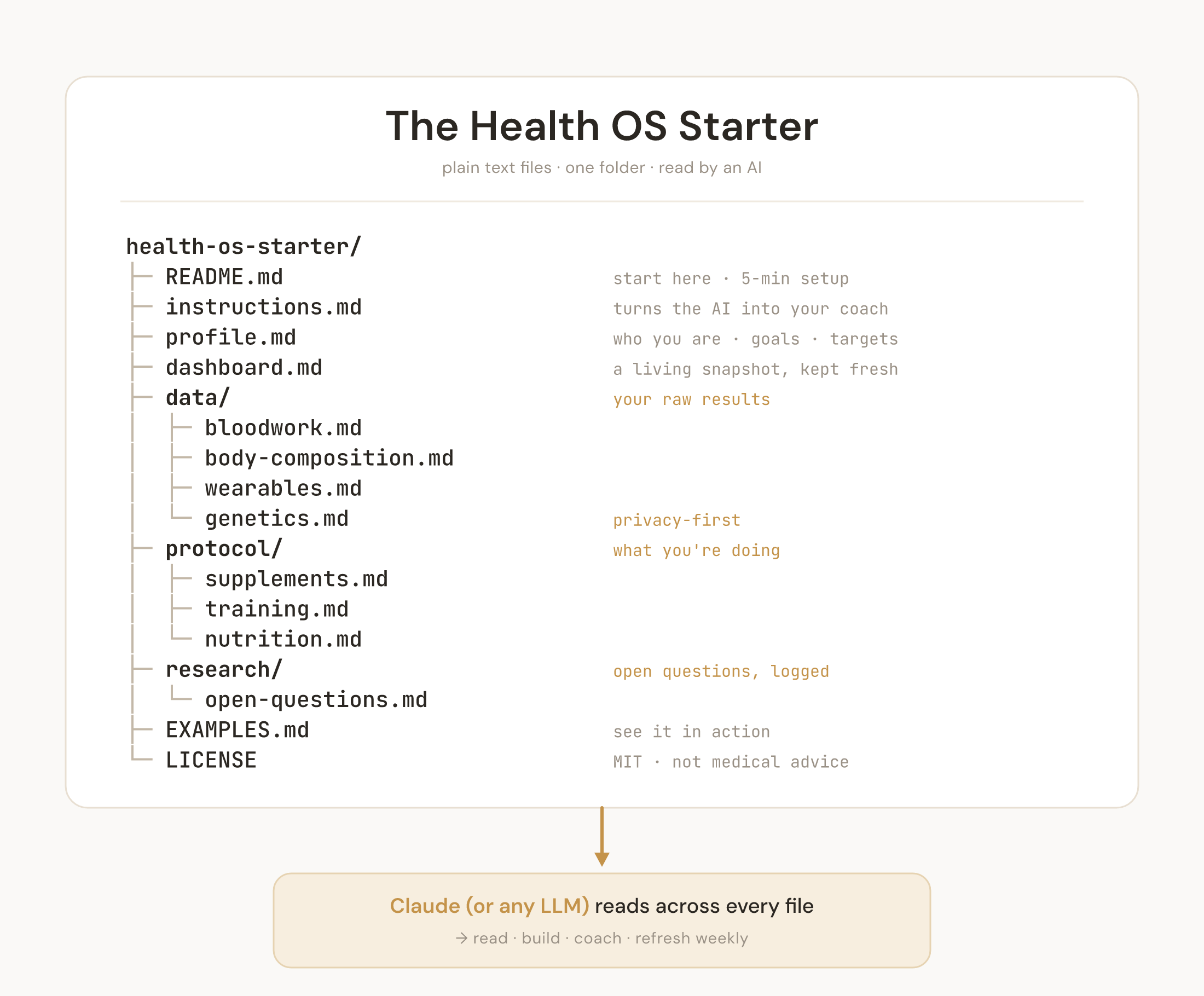 The Health OS Starter template file structure: profile, data, protocol, instructions, and dashboard files